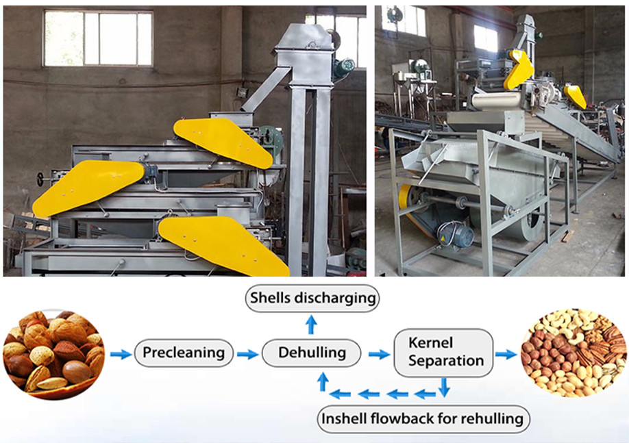 Cold oil press machine | Hemp seed oil press machine | Cold press oil extractor