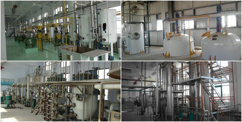 LD selling products coconut oil press machine