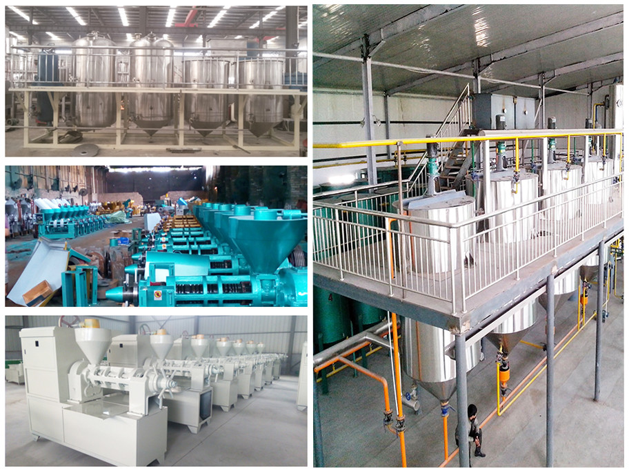 Palm oil milling machine manufaturer,hot sale in Indonesia