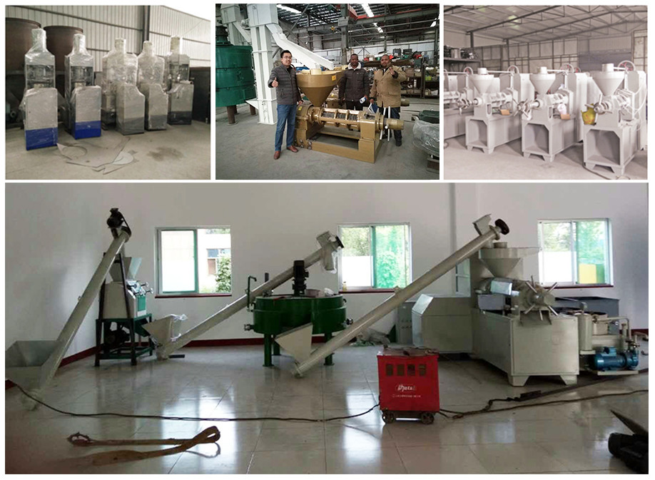Professional Service Turnkey Edible Crude Palm Oil Refinery Plant