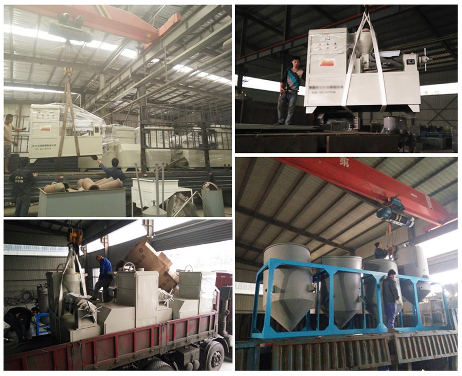 palm kernel cold press oil seed machine