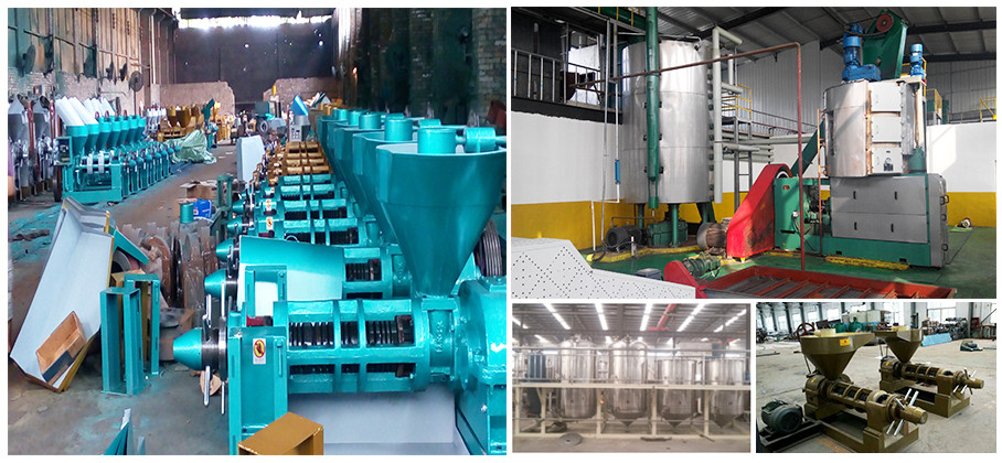 Best Desigh widely used almond oil extraction machine