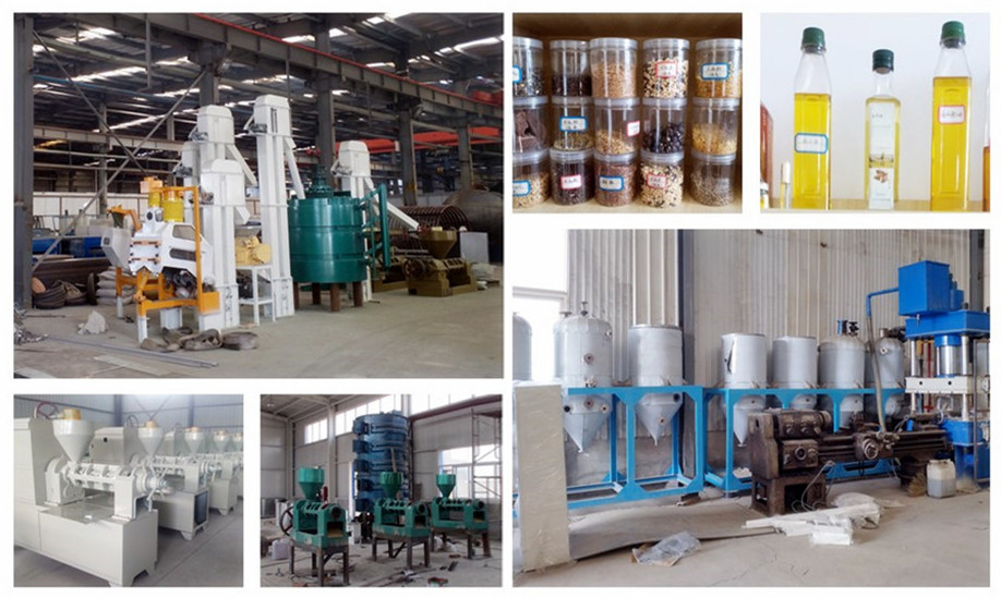 Turnkey Factory Price Palm Oil Processing Machine