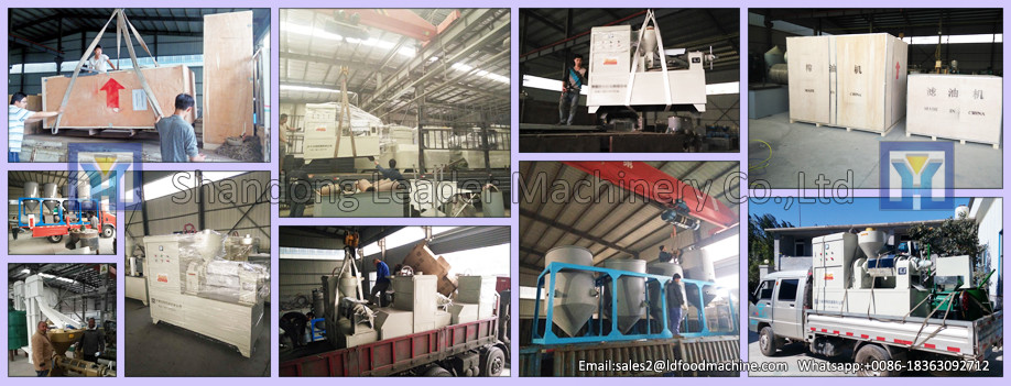 High technology and best Quality small oil extraction equipment