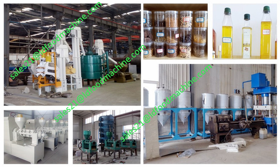 80TPD palm kernel oil extraction machine