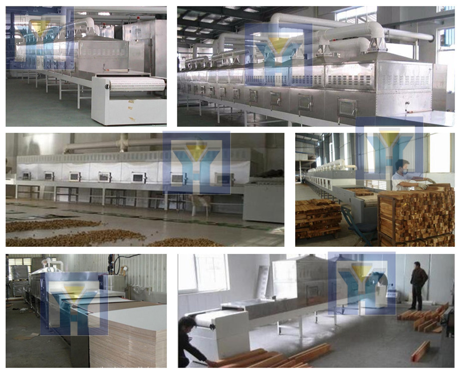 continouous conveyor type microwave oven for cooking shellfish