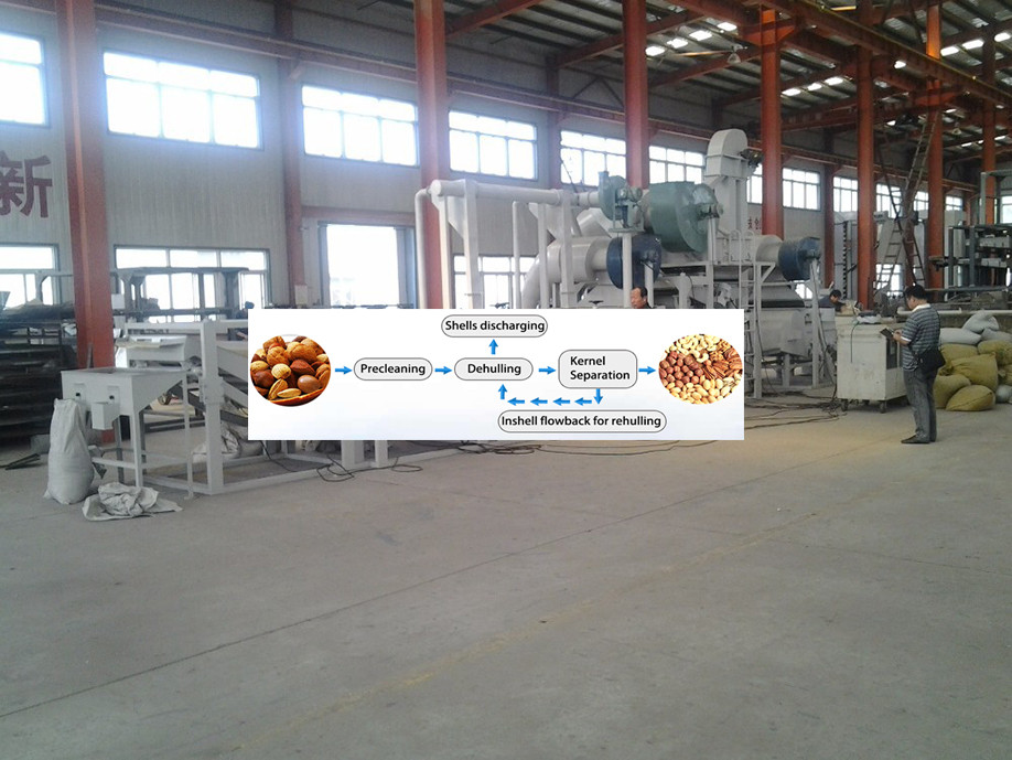 Competitive Price 80-120kg/h Peanut Butter Making Machine