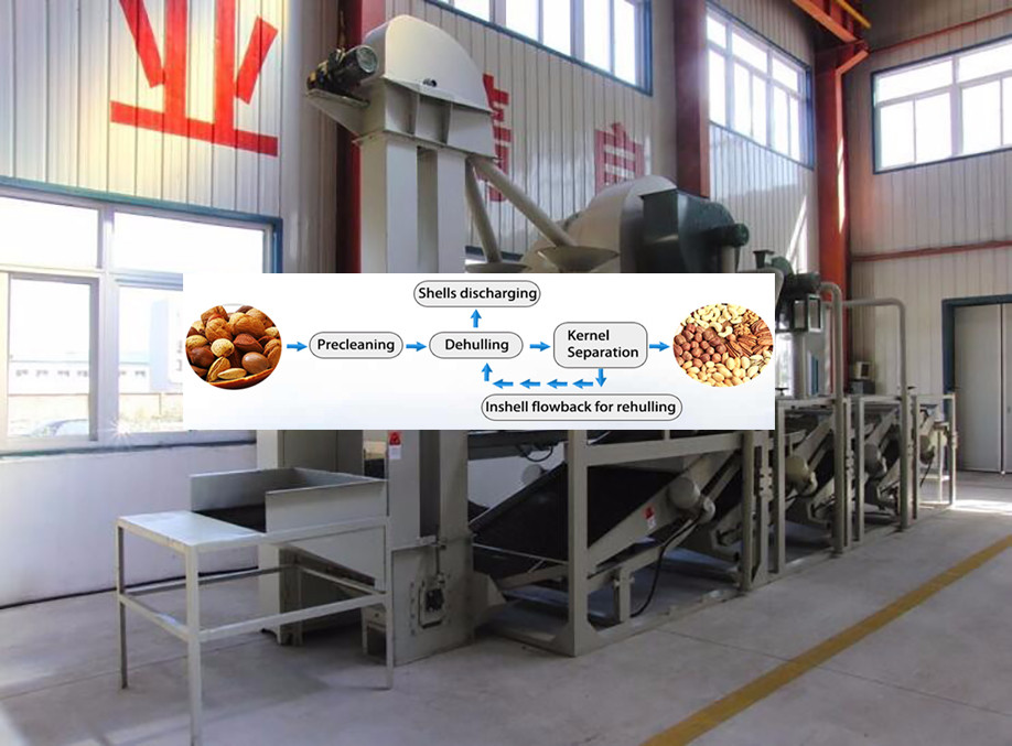 High output profession Large Chinese Chestnut Thorn Shell Peeler/Chestnut Stab Removing Machine price