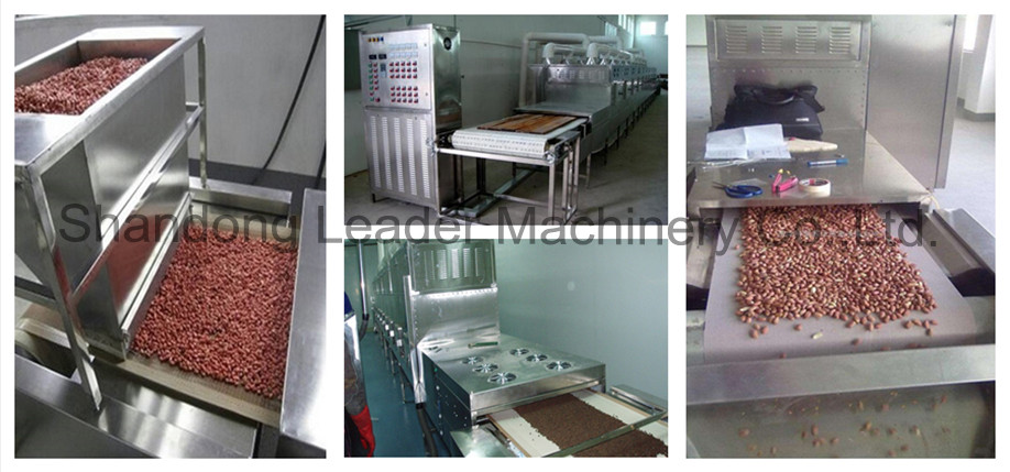 high efficiency Microwave LD/microwave drying machine/sterilization for fruit chips