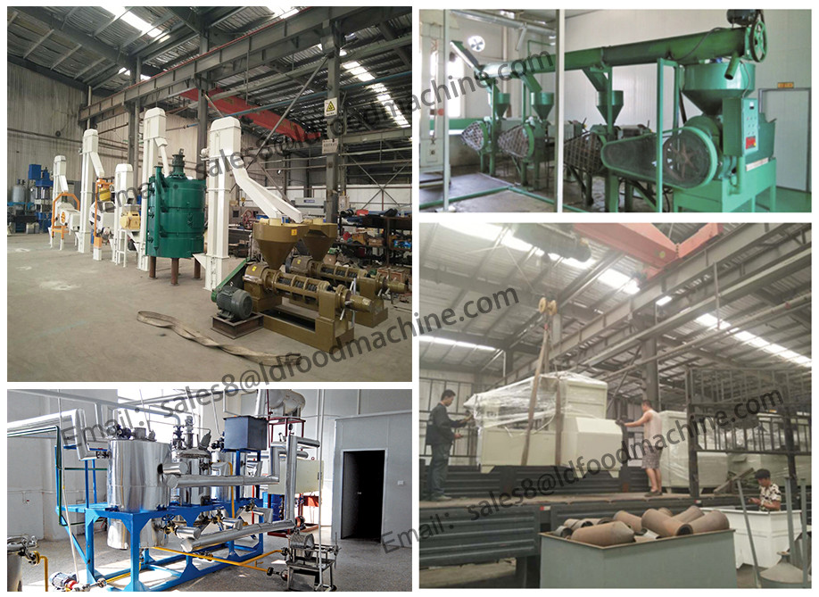 Plant Leader'E with 33 years experience in the field of oil palm mill machinery/palm oil processing machine