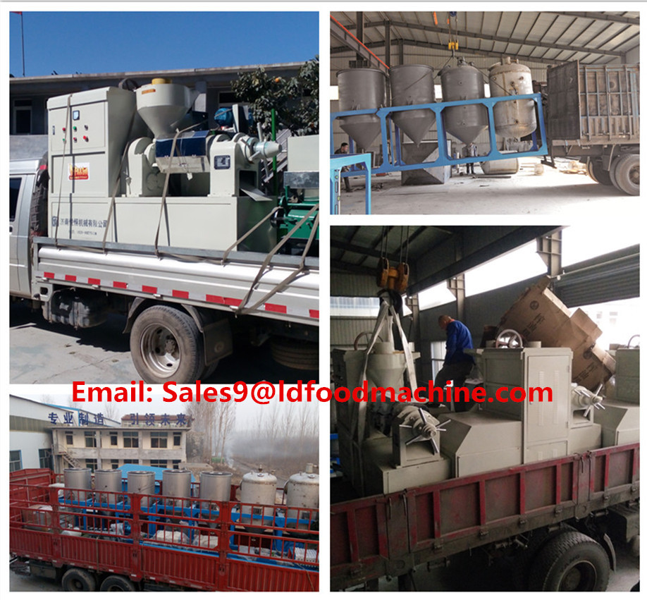 High efficiency small palm kernel oil press with  service