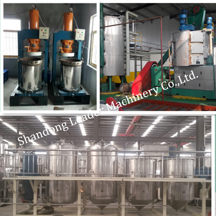 LD palm kernel oil processing machinewith discount from china  factory
