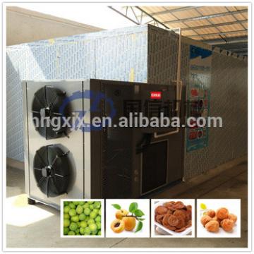 Capacity can be customized automatic plum dryer machine