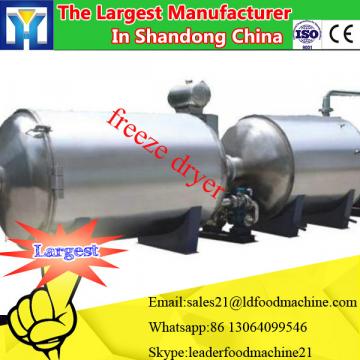 Banana lyophilizer equipment with best price