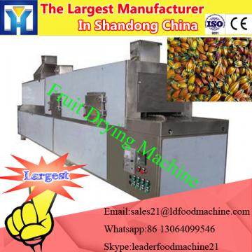 Commercial fruit drying machine / mango drying machine