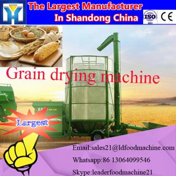 batch type microwave vacuum food dehydrator