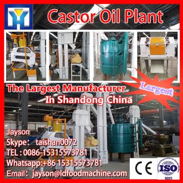 Professional high quality popular anise flavoring machine with CE certificate