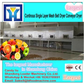 DW Model Continuous Mesh Belt Industrial Food Dryer