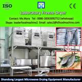 Vegetable and Fruit Freeze Dryer Machine