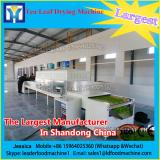 hot selling microwave fish drying machine/sterilization/box type