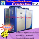 Heat pump fruits apple chips dehydrator/pineapple dryer oven/heat pump