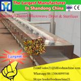 Golden chrysanthemum indicum tunnel microwave drying machine