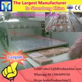 Dehydrator type dryer machine for potato chips