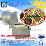 Best sale fruit and vegetable drying oven with high quality
