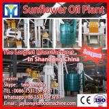 Sunflower Oil Refinery Machine