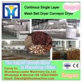 DW Model Continous Cassava Slice Mesh Belt Dryer/Conveyor Dryer