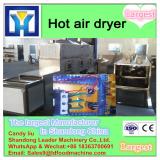 New arrival Hot air prunes drying machine