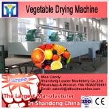 LD fruit and vegetable drying machine for sale sweden