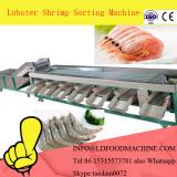 Commercial easy use shrimp grader,classifying machinery for sea food